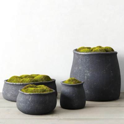 现代苔藓盆栽